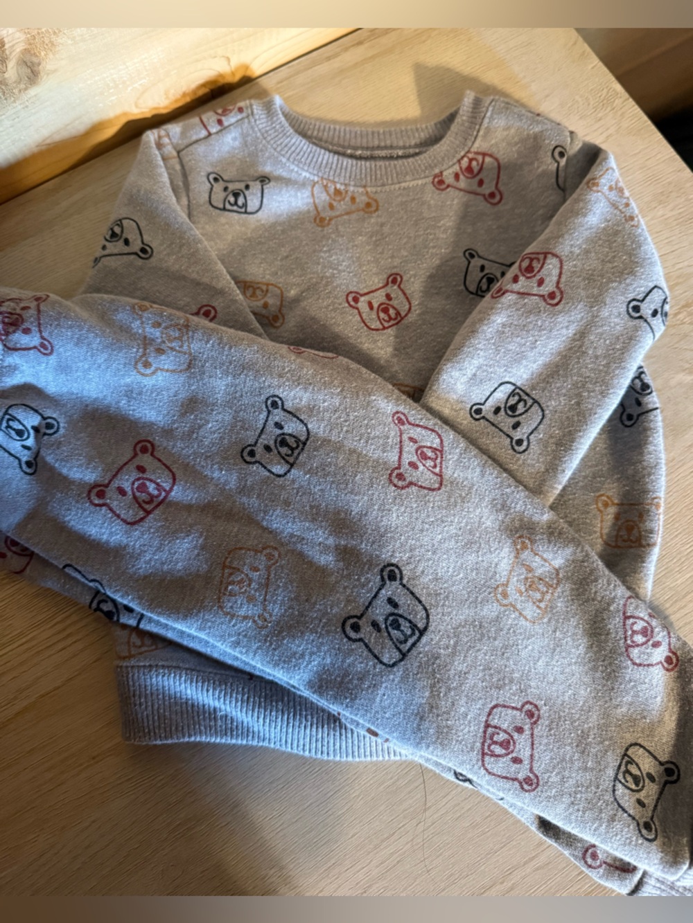 Grey Bear Print Hoodie Sweatshirt Set - Multicolor Bears